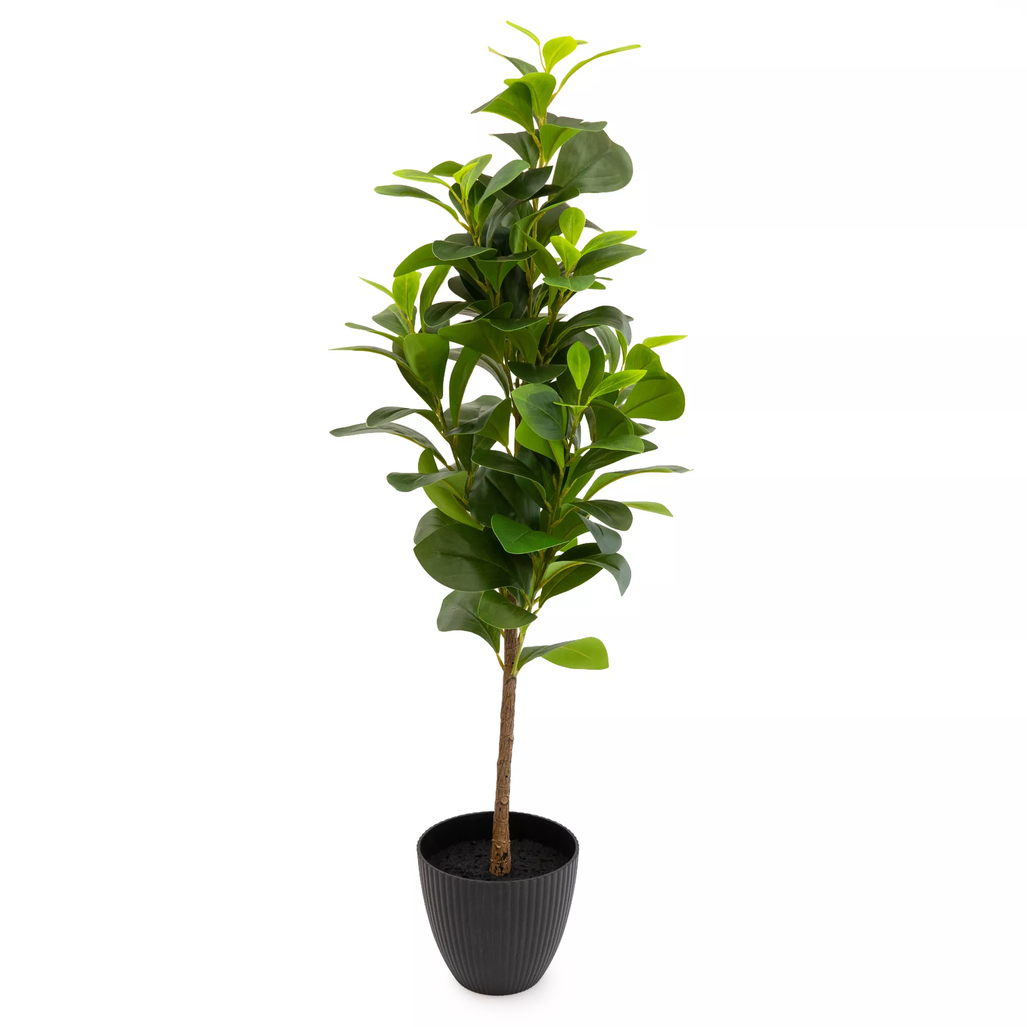 80cm Peperomia Artificial Plant In Black Ribbed Pot 1 80cm Peperomia Artificial Plant In Black Ribbed Pot