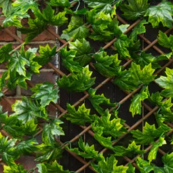 Apollo Maple Leaf Willow Trellis Panel (W)200cm X (H)100cm 5 Apollo Maple Leaf Willow Trellis Panel (W)200cm X (H)100cm -Garden Tool Store apollo maple leaf willow trellis panel w 200cm x h 100cm5037653779309 02i bq