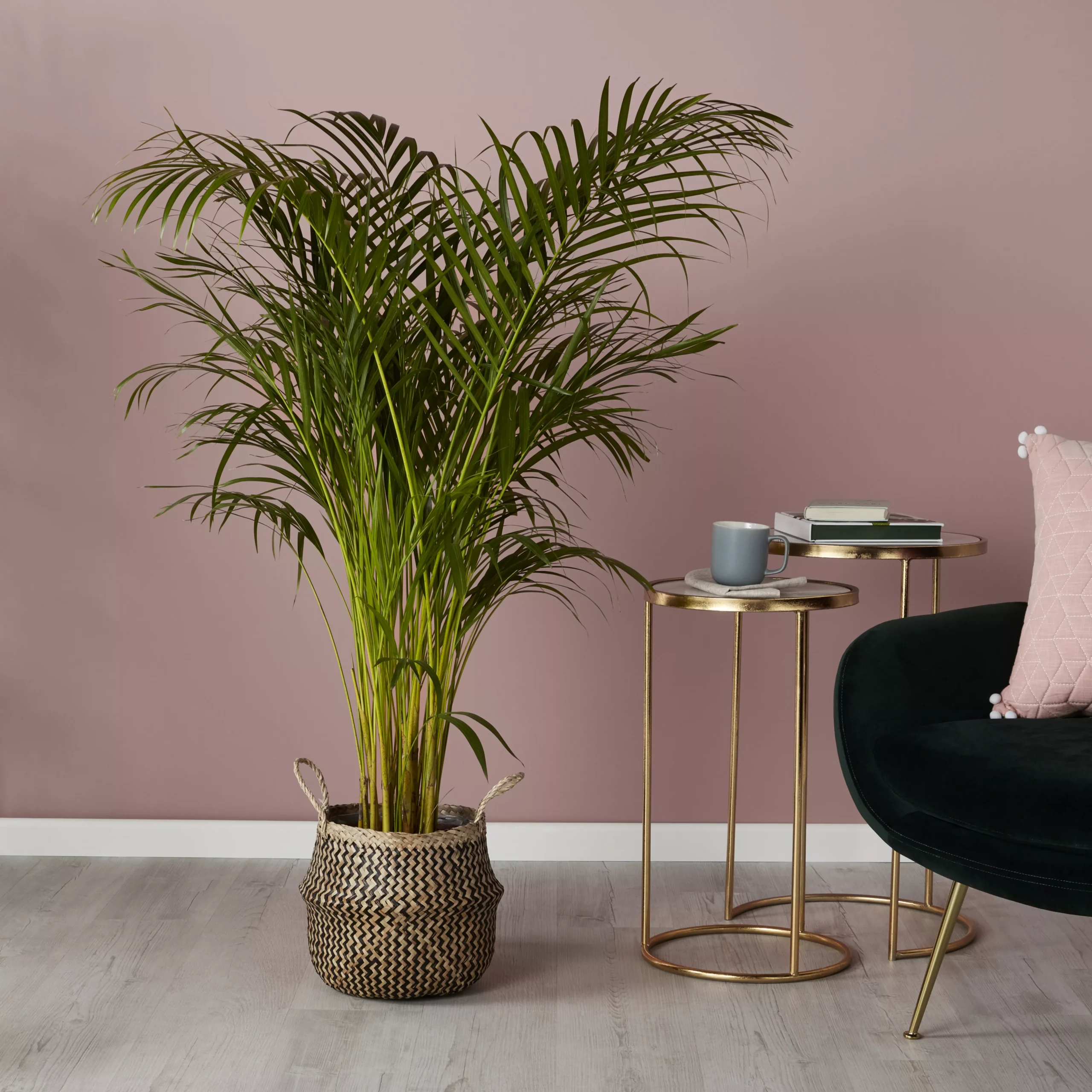 Black Seagrass Herringbone Circular Plant Pot (Dia)25cm 4 Black Seagrass Herringbone Circular Plant Pot (Dia)25cm - Image 4