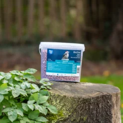 CJ Wildlife Peanuts 3kg -Garden Tool Store cj wildlife peanuts 3kg5051054259192 01i