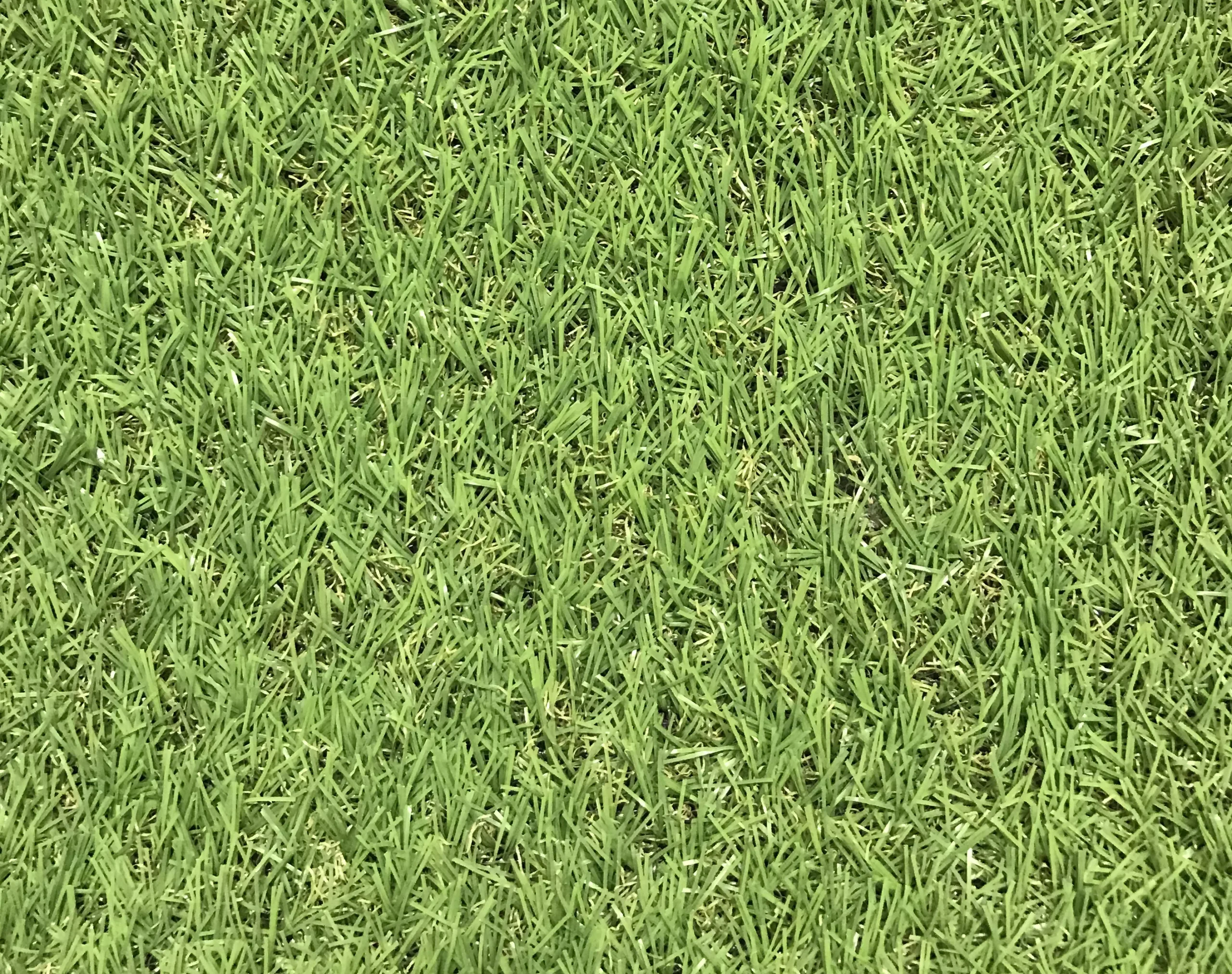 Dennis Artificial Grass 8m² (T)22mm 3 Dennis Artificial Grass 8m² (T)22mm - Image 3