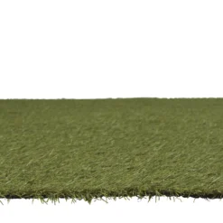 Dennis Artificial Grass 8m² (T)22mm 12 Dennis Artificial Grass 8m² (T)22mm -Garden Tool Store dennis artificial grass 8m t 22mm3663602425182 02bq
