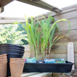 Forest Garden Natural Timber 5x2 Greenhouse 20 Forest Garden Natural Timber 5x2 Greenhouse -Garden Tool Store forest garden natural timber 5x2 greenhouse5013053176375 06i