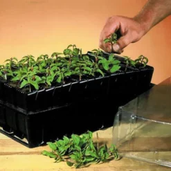 Haxnicks Deep Rootrainer 37cm -Garden Tool Store haxnicks deep rootrainer 37cm0651609107012 01i