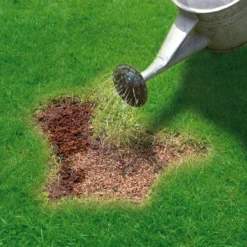 Miracle-Gro Patch Magic Plant Feed 16m² 3.6kg -Garden Tool Store miracle gro patch magic plant feed 16m 3 6kg5010272087154 02i bq
