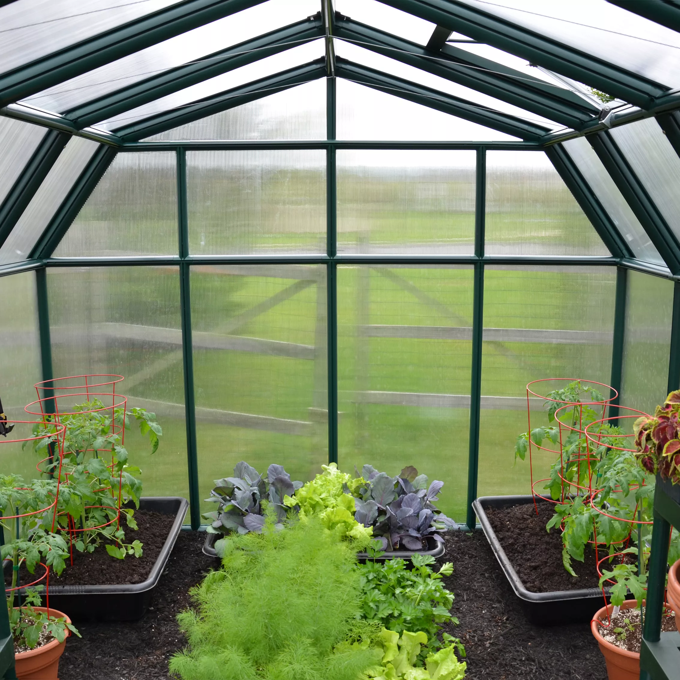 Palram - Canopia Hobby Gardner Green 8x8 Greenhouse 5 Palram - Canopia Hobby Gardner Green 8x8 Greenhouse - Image 5