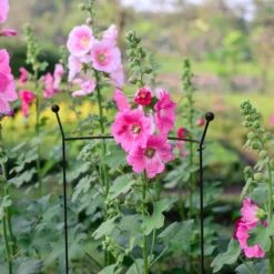 Garden Tool Store -Garden Tool Store panacea steel curved plant support l 76cm dia 46cm0093432825259 01i bq