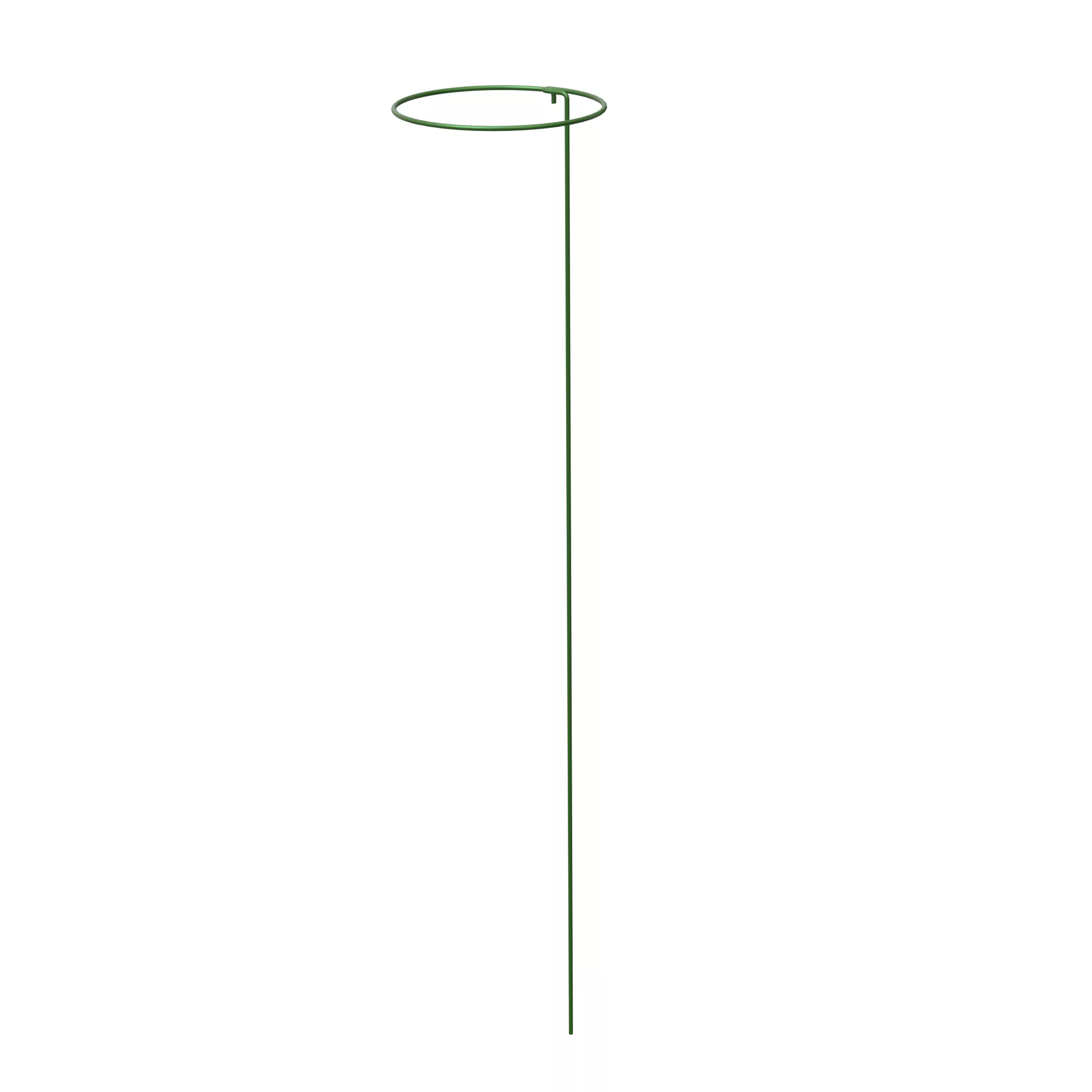 Panacea Steel Single Stem Plant Support (L)91cm (Dia)17cm, Pack Of 3 1 Panacea Steel Single Stem Plant Support (L)91cm (Dia)17cm, Pack Of 3