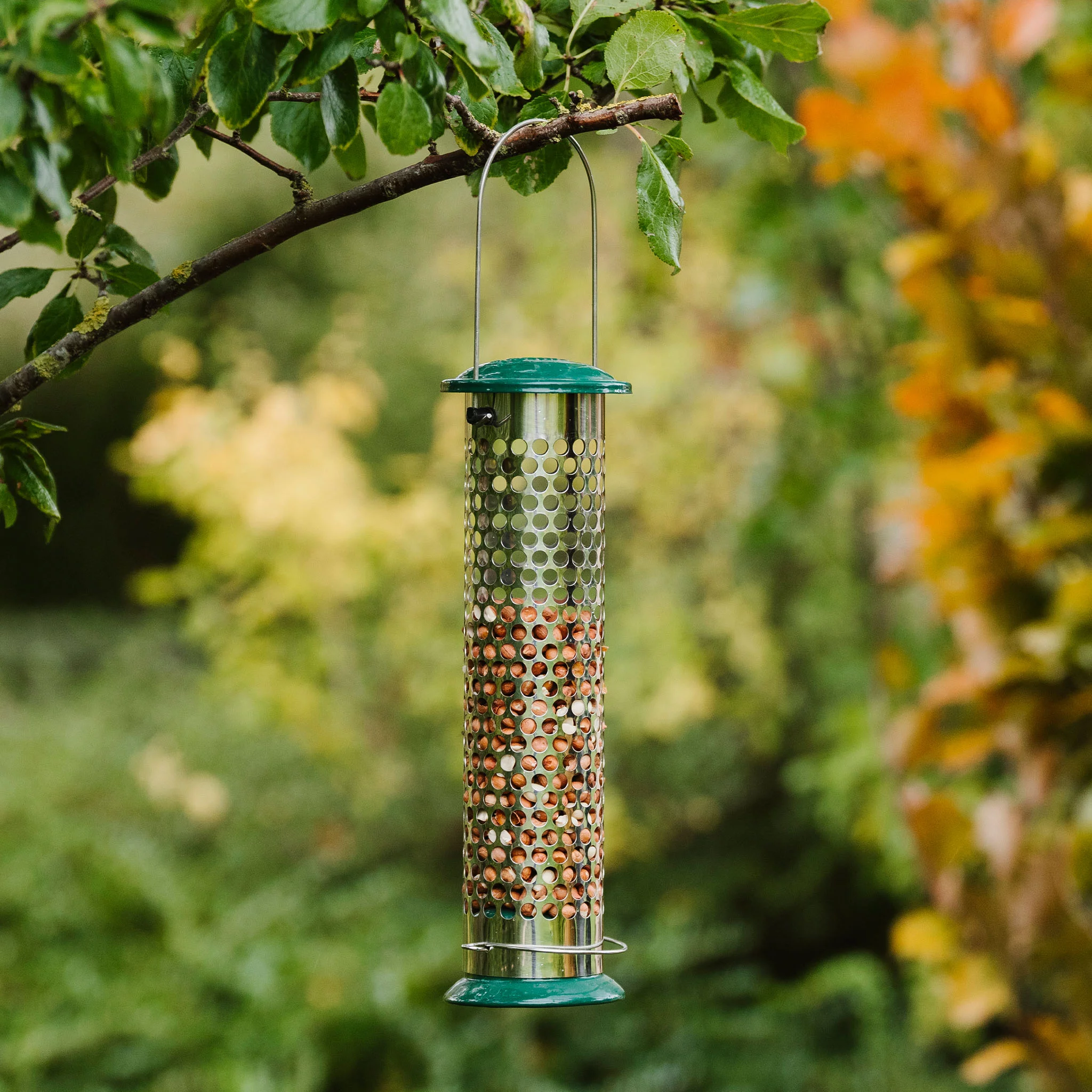 Peckish Stainless Steel Suet & Peanut Green All Weather Bird Feeder 0.7L 2 Peckish Stainless Steel Suet & Peanut Green All Weather Bird Feeder 0.7L - Image 2