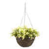 Smart Garden Petunia Artificial Green Round Plastic Hanging Basket, 25cm