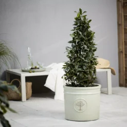 Verve Barcău Olive Ceramic Circular Plant Pot (Dia)38cm 5 Verve Barcău Olive Ceramic Circular Plant Pot (Dia)38cm -Garden Tool Store verve barcau olive ceramic circular plant pot dia 38cm5059340327709 01i