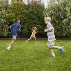 Verve Family & Sports Grass Seeds, 1.5kg -Garden Tool Store verve family sports grass seeds 1 5kg3663602947516 01i