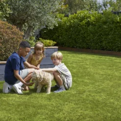 Verve Family & Sports Grass Seeds, 10kg -Garden Tool Store verve family sports grass seeds 10kg3663602947516 04i