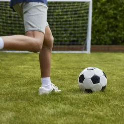 Verve Family & Sports Grass Seeds, 10kg -Garden Tool Store verve family sports grass seeds 10kg3663602947516 06i