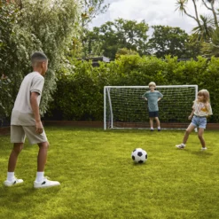 Verve Family & Sports Grass Seeds, 10kg -Garden Tool Store verve family sports grass seeds 10kg3663602947516 09i