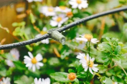 Verve Irrigation Kit 20 Pieces -Garden Tool Store verve irrigation kit 20 pieces5063022059888 02i