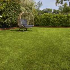 Verve Sunny Grass Seeds, 5kg 6 Verve Sunny Grass Seeds, 5kg -Garden Tool Store verve sunny grass seeds 5kg3663602947578 01i