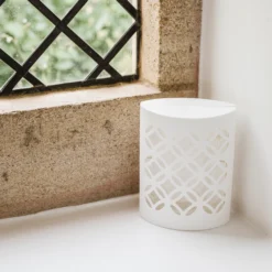 Westland Flying Insects Insect Trap -Garden Tool Store westland flying insects insect trap5023377013829 02i bq